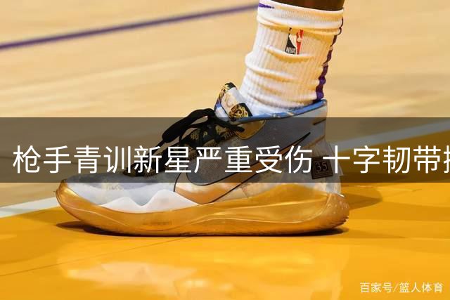 枪手青训新星严重受伤 十字韧带撕裂将长期缺阵