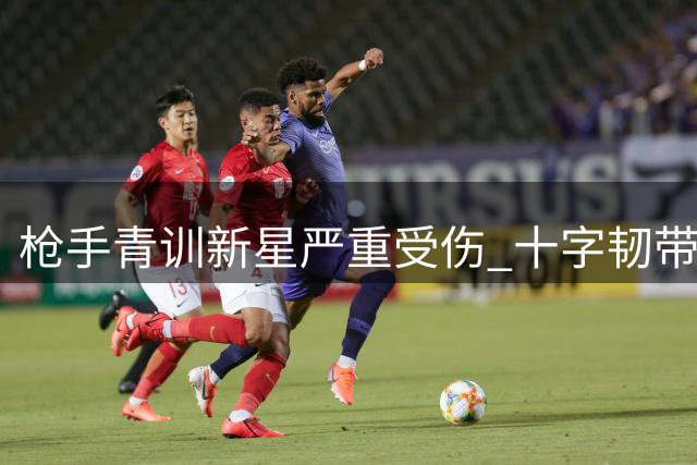 枪手青训新星严重受伤 十字韧带撕裂将长期缺阵