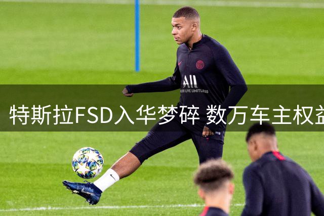 特斯拉FSD入华梦碎 数万车主权益兑现成难题