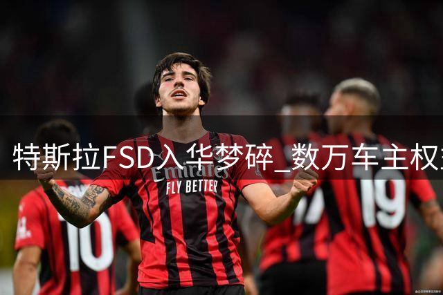 特斯拉FSD入华梦碎 数万车主权益兑现成难题